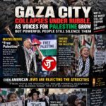 Macklemore Walked onto a Stage, Said "Free Palestine" Ten Days Later, He Was Gone...
