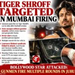Tiger Shroff Targeted in Firing Attack, Driver Shot